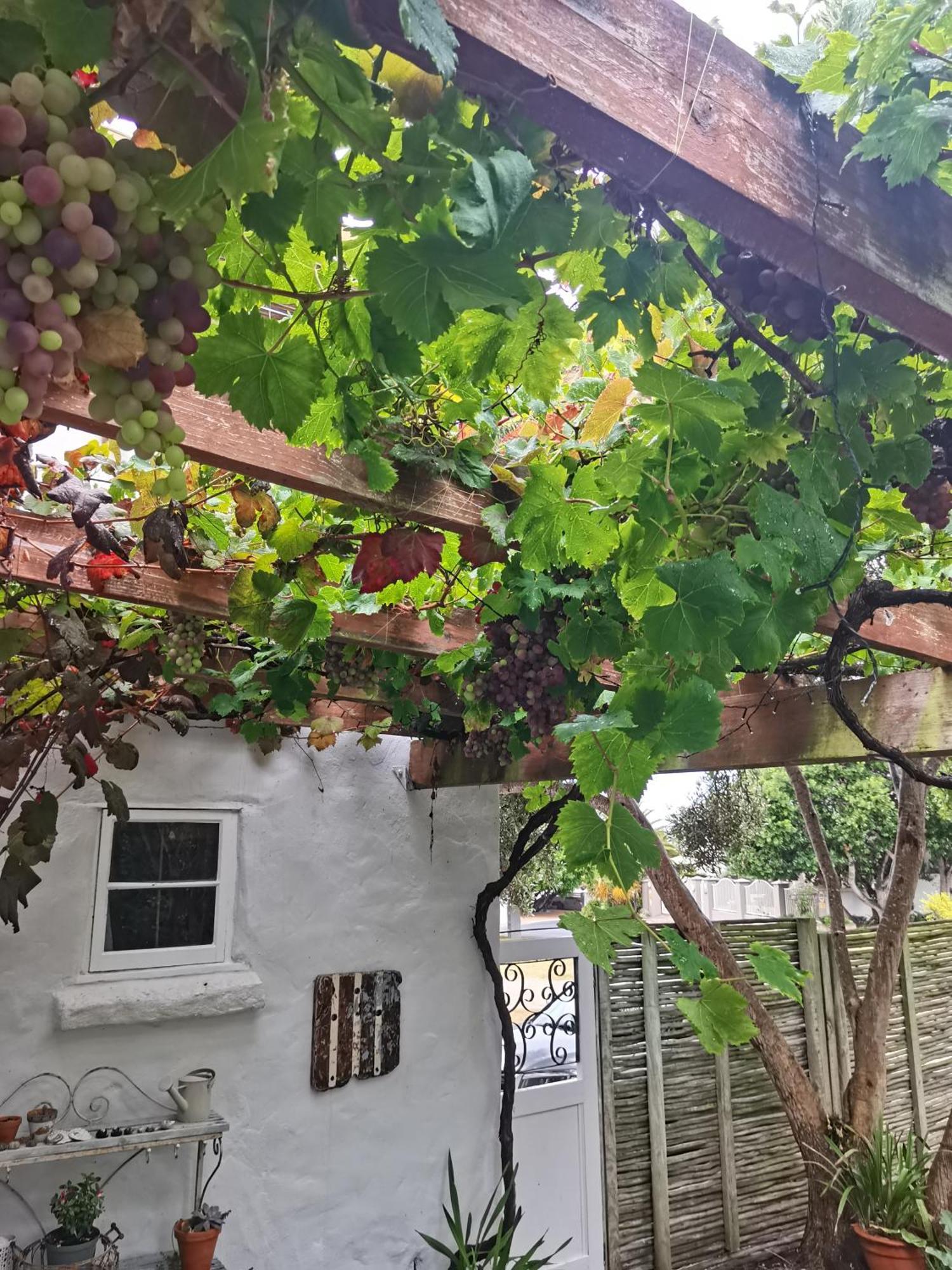 Vermont Lofts Hermanus Esterno foto